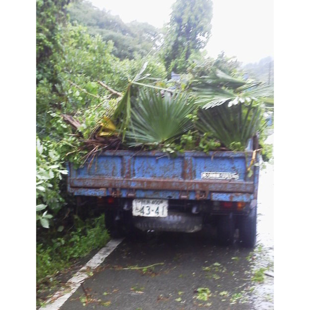 台風災害